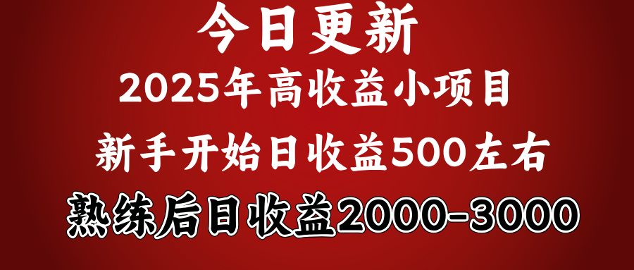 2025开年好项目，新手日收益500+ 熟练掌握后，日收益平均2000多-枫叶微课堂