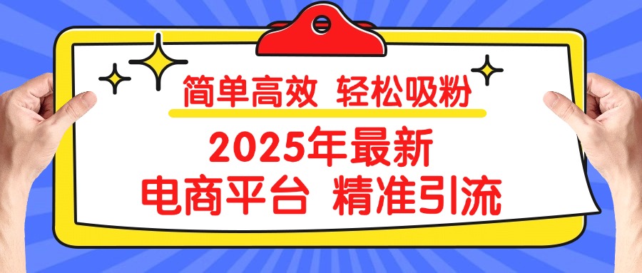 2025年最新电商平台精准引流 简单高效 轻松吸粉-枫叶微课堂
