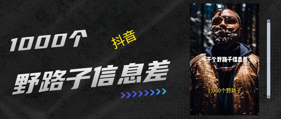 抖音一千个野路子信息差最新玩法教程引流＋变现的玩法具体拆解-枫叶微课堂
