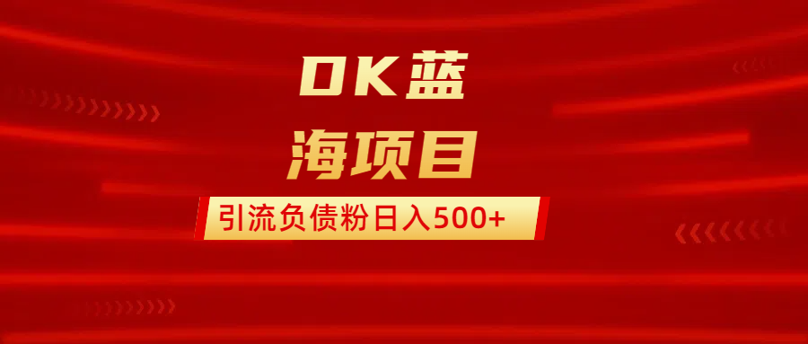 DK蓝海项目  通过，抖音，快手，小红书，引流负债粉日入500+-枫叶微课堂
