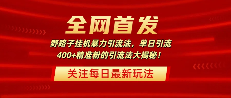 全网首发，野路子挂机暴力引流法，单日引流400+精准粉的引流法大揭秘！-枫叶微课堂