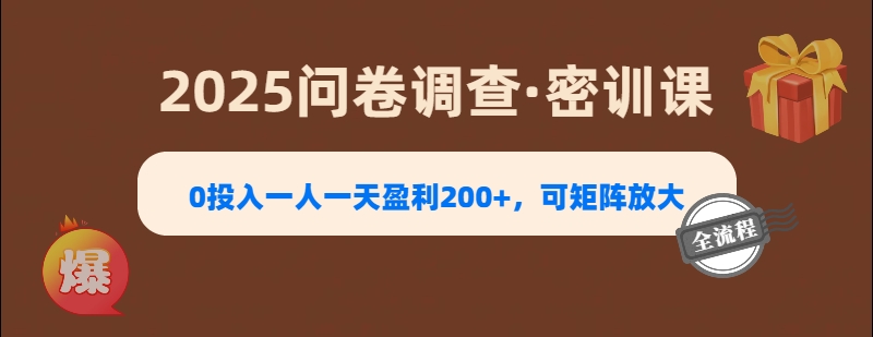 2025《问卷调查》0投入一人一天盈利200+，可矩阵放大-枫叶微课堂
