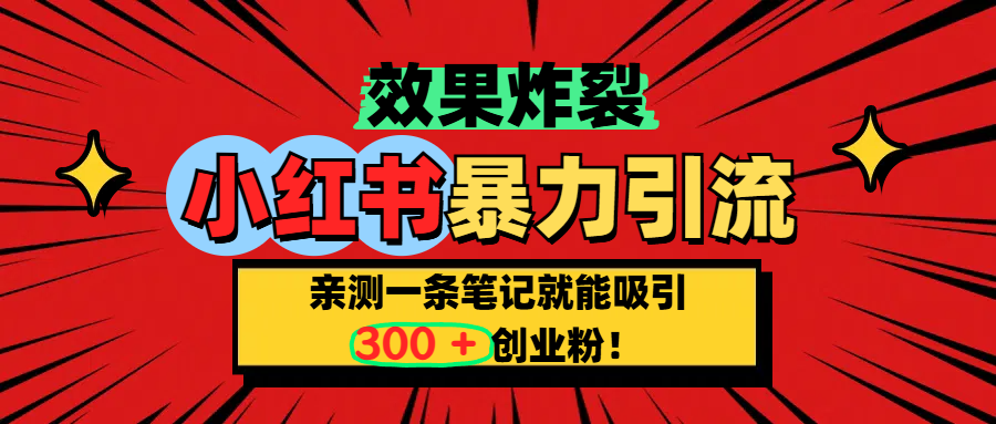 小红书炸裂玩法，亲测一条笔记就能吸引300+精准创业粉！-枫叶微课堂
