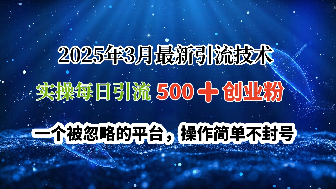 2025年3月最新引流技术，实操每日引流500➕创业粉，一个被忽略的平台，操作简单不封号-枫叶微课堂