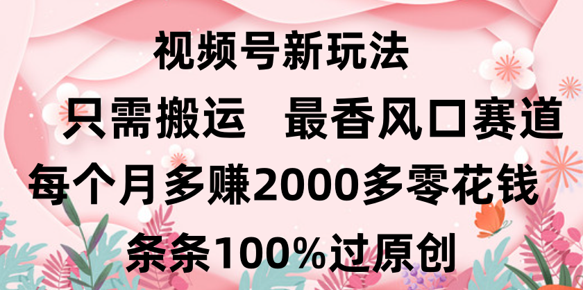 日入2000+，条条100%过原创，视频号最香风口赛道，小白轻松上手-枫叶微课堂
