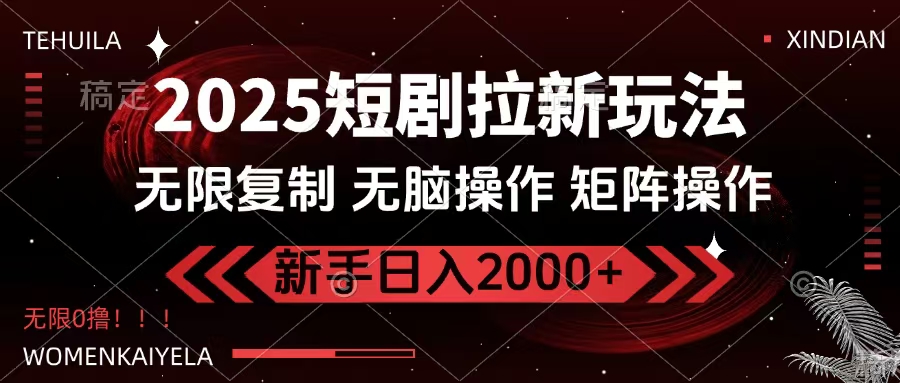 2025短剧拉新玩法，无需注册登录，无限0撸，无脑批量操作日入2000+-枫叶微课堂
