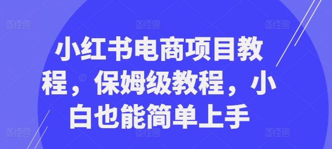 小红书电商项目教程，保姆级教程，小白也能简单上手-枫叶微课堂