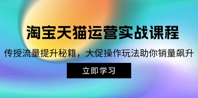 淘宝&天猫运营实战课程，传授流量提升秘籍，大促操作玩法助你销量飙升-枫叶微课堂