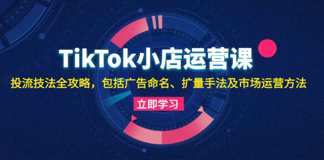 TikTok小店运营课：投流技法全攻略，包括广告命名 扩量手法及市场运营方法-枫叶微课堂