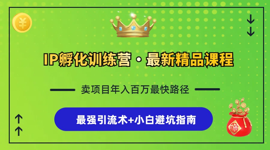 IP孵化训练营，知识付费全流程+最强引流术+小白避坑指南-枫叶微课堂