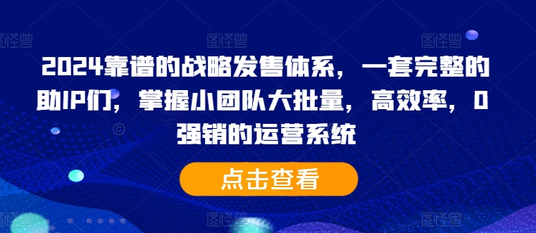 2024靠谱的战略发售体系，一套完整的助IP们，掌握小团队大批量，高效率，0 强销的运营系统-枫叶微课堂