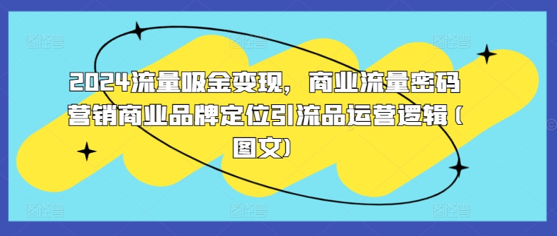 2024流量吸金变现，商业流量密码营销商业品牌定位引流品运营逻辑(图文)-枫叶微课堂