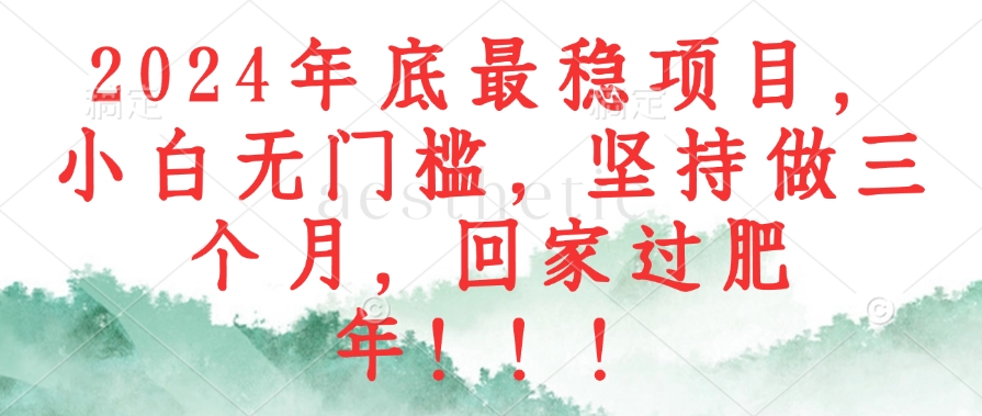 2024年底最稳项目，小白无门槛，坚持做三个月，回家过肥年！！！-枫叶微课堂