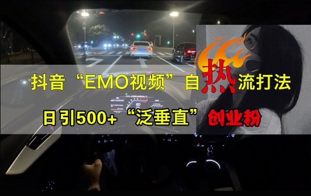 抖音EMO视频自热打法，日引500+“泛垂直”创业粉-枫叶微课堂