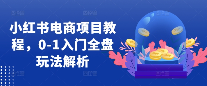 小红书电商项目教程，0-1入门全盘玩法解析-枫叶微课堂