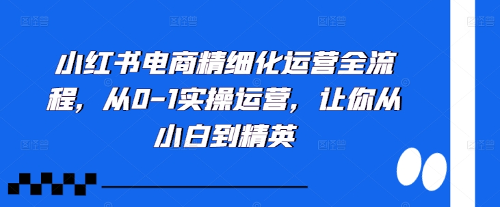 小红书电商精细化运营全流程，从0-1实操运营，让你从小白到精英-枫叶微课堂