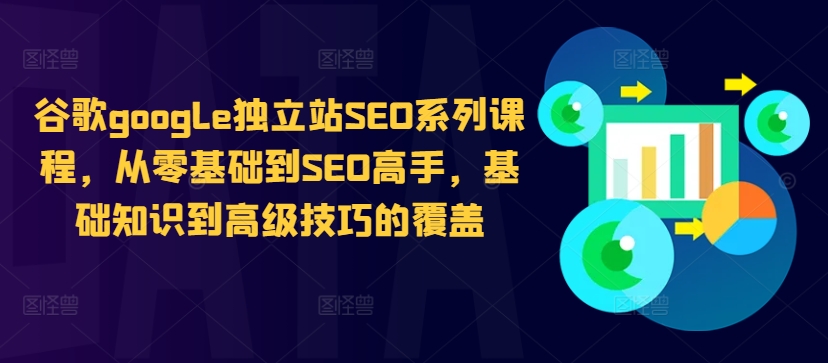 谷歌google独立站SEO系列课程，从零基础到SEO高手，基础知识到高级技巧的覆盖-枫叶微课堂