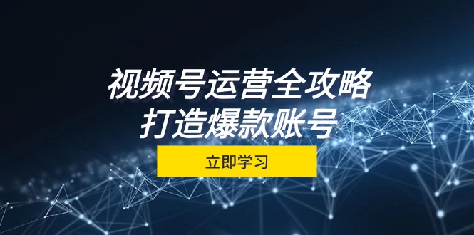 视频号运营全攻略，从定位到成交一站式学习，视频号核心秘诀，打造爆款…-枫叶微课堂