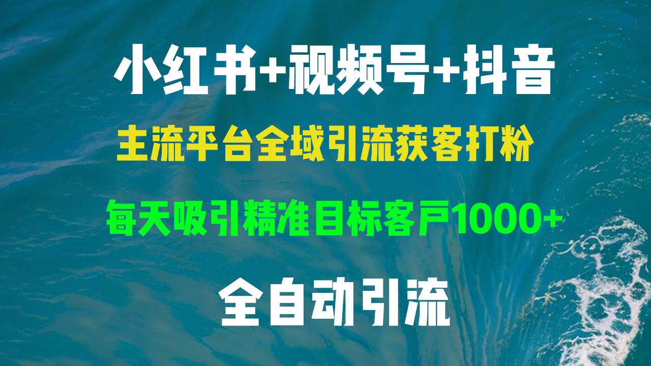 小红书，视频号，抖音主流平台全域引流获客打粉，每天吸引精准目标客户…-枫叶微课堂