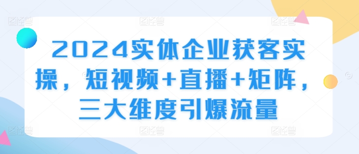 2024实体企业获客实操，短视频+直播+矩阵，三大维度引爆流量-枫叶微课堂