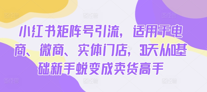小红书矩阵号引流，适用于电商、微商、实体门店，30天从0基础新手蜕变成卖货高手-枫叶微课堂