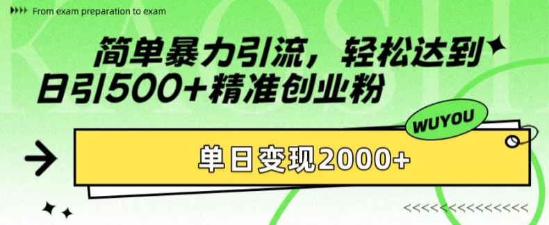 简单暴力引流，轻松达到日引500+精准创业粉，单日变现2k【揭秘】-枫叶微课堂